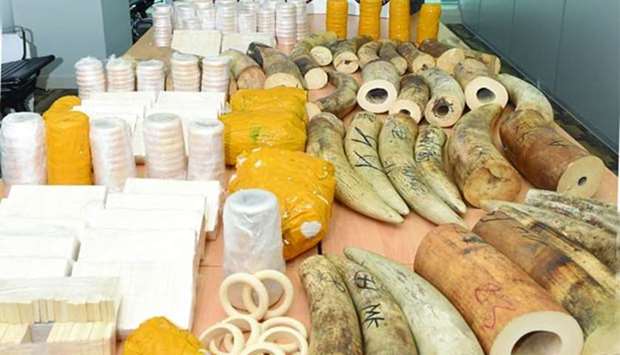 Ivory cargo weighing 310kg confiscated at Hamad airport