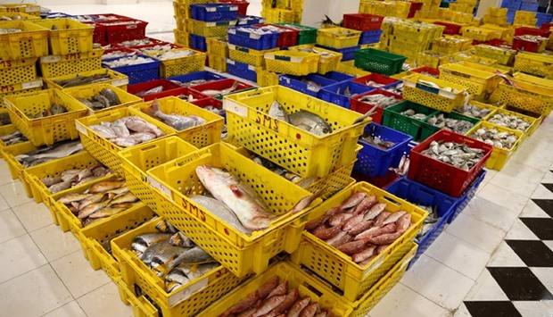 New fish market at Umm Slal yet to pick up momentum