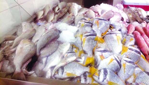 Spike in supply brings fish prices down