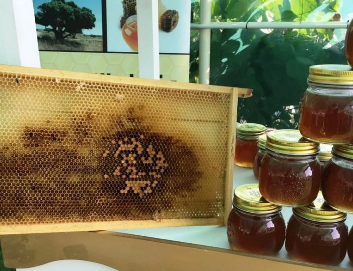 37 countries participate in Souq Waqif Honey Exhibition