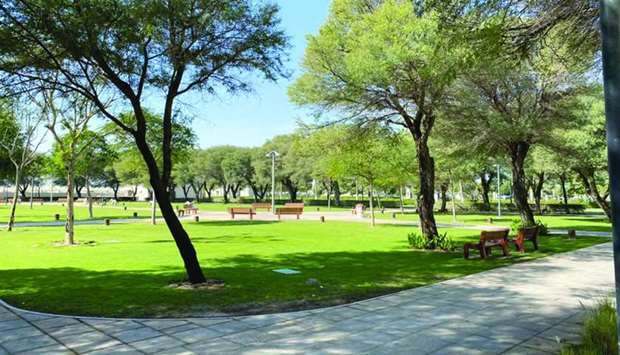 Al Khor Park reopens with added forest ambience, animals