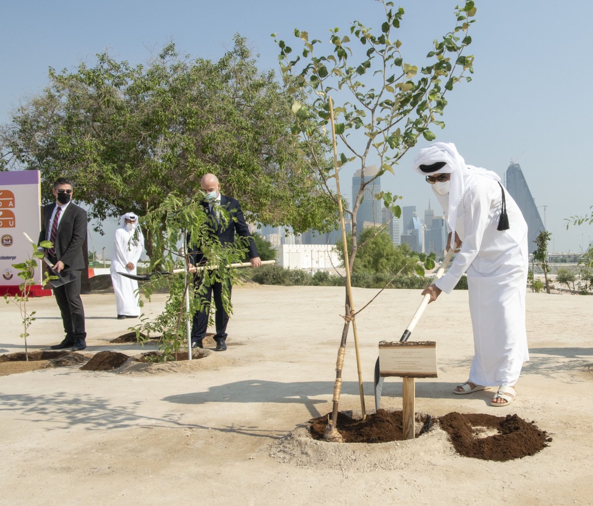 Amir plants Sidra tree to inaugurate Dadu Children’s Museum garden project