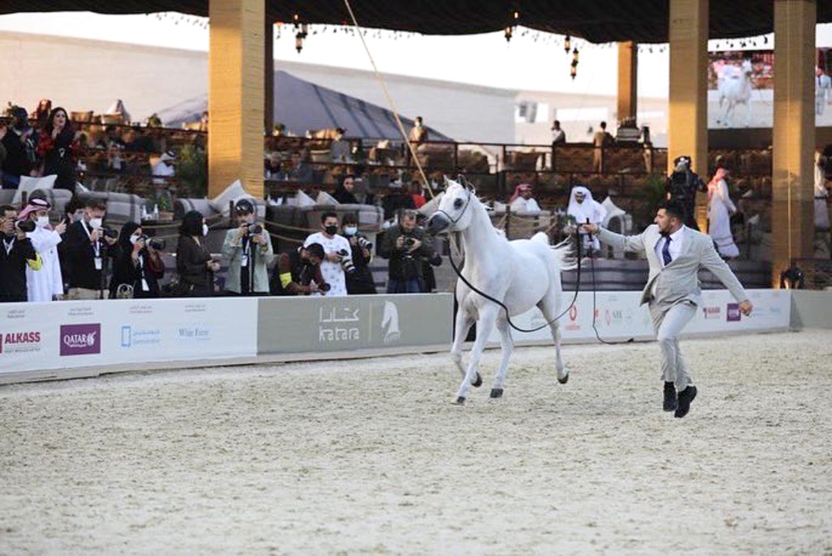Arabian Peninsula Horse Show at Katara heads to finals