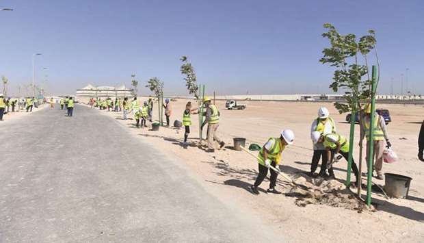 Ashghal plants trees at Al Khor Road development project
