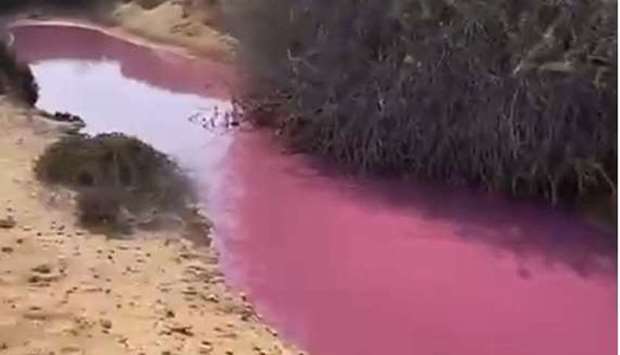 Authorities examine pink coloured stream water