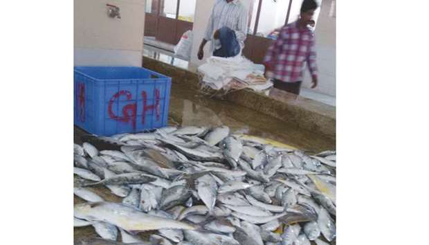 Contaminated fish, goods destroyed