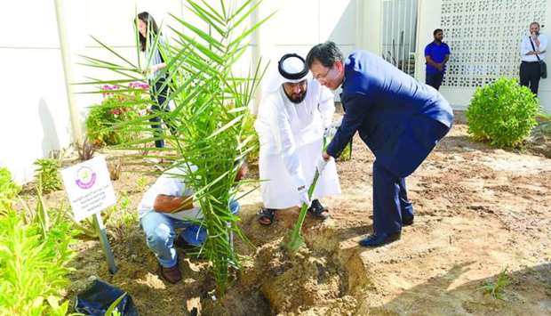 Date palms planted to mark strengthening ties with S.Korea