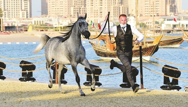 Katara horse festival a distinctive blend of past, present and future