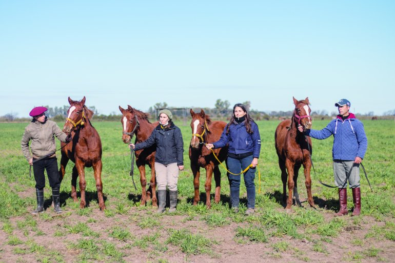 Kheiron Biotech: Argentine company breaks limits in technology for horse breeding