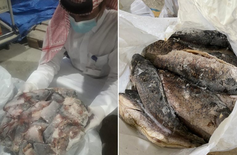 Large quantity of inedible frozen fish seized from industrial area