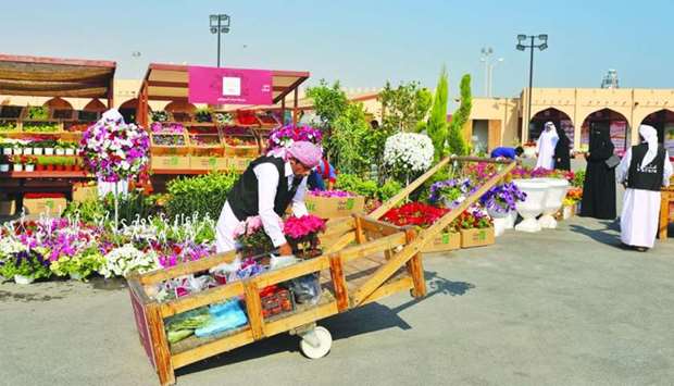 Mahaseel Festival continues to draw visitors