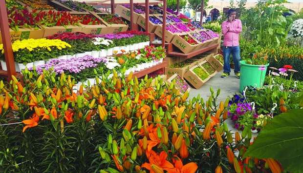 Mahaseel sees huge demand for locally-grown flowers