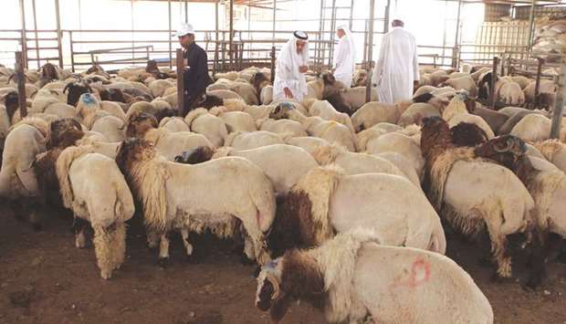 MEC checks on subsidised sheep at central market