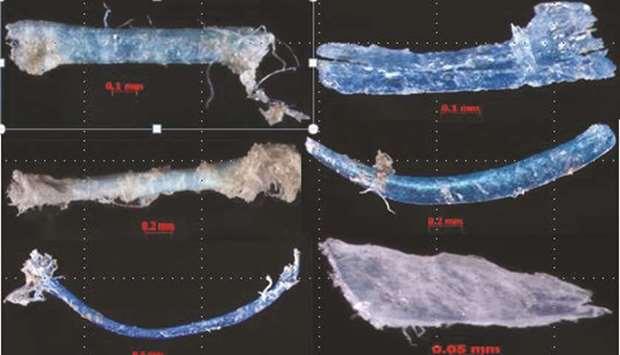 Microplastics found in waters off Qatar