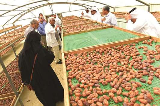 MME hosts field trip on drying dates