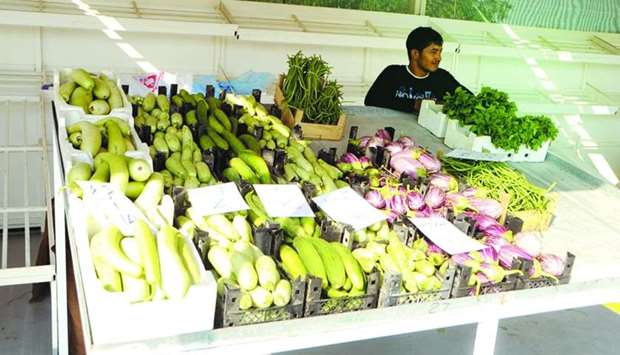 More Qatari farms join yards; more varieties on sale