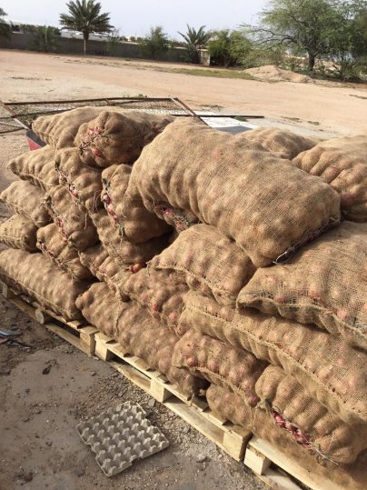 Municipality seizes 3 tonnes of onions for improper storage