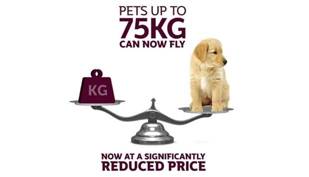 Qatar Airways reduces prices for domestic pets