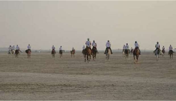 Qatar Endurance Club established to promote horse endurance races