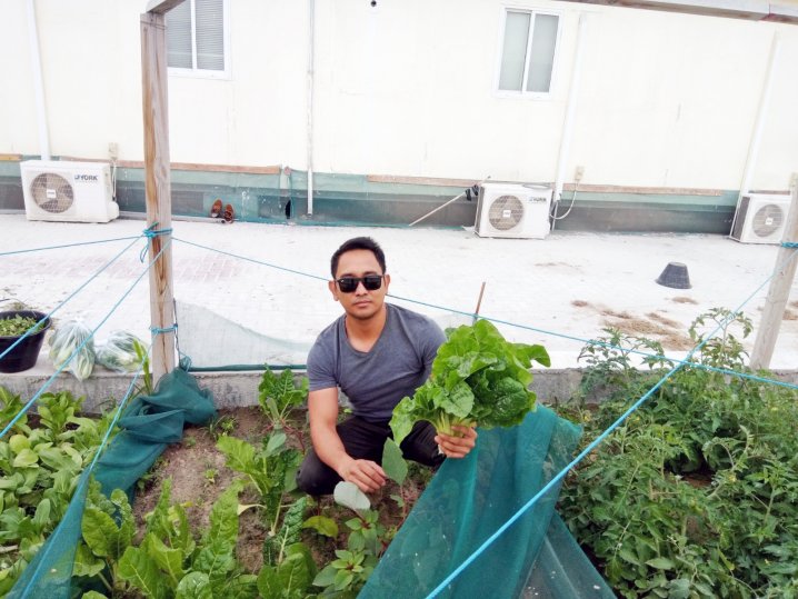Qatar residents take up home farming as healthy leisure activity