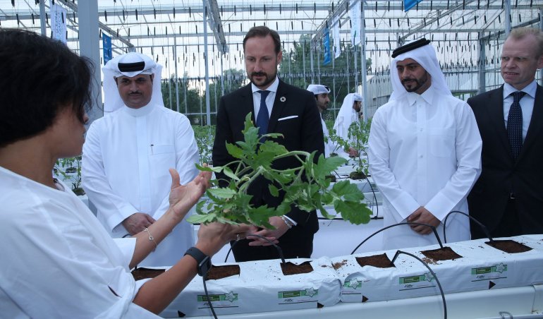 Qatar’s first water-saving greenhouse pilot project launched