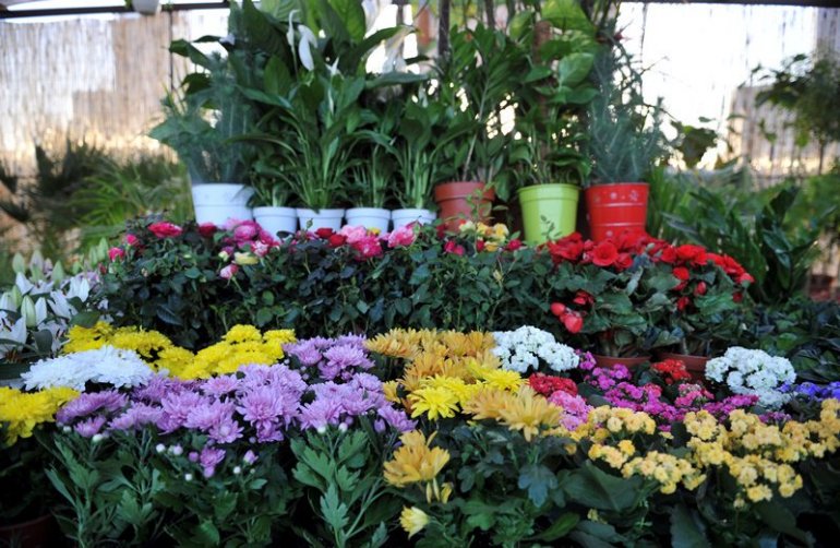 Second Flowers Festival opens at Souq Waqif