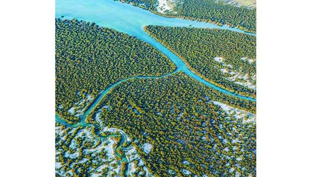 Sheikha Al Mayassa highlights importance of mangroves
