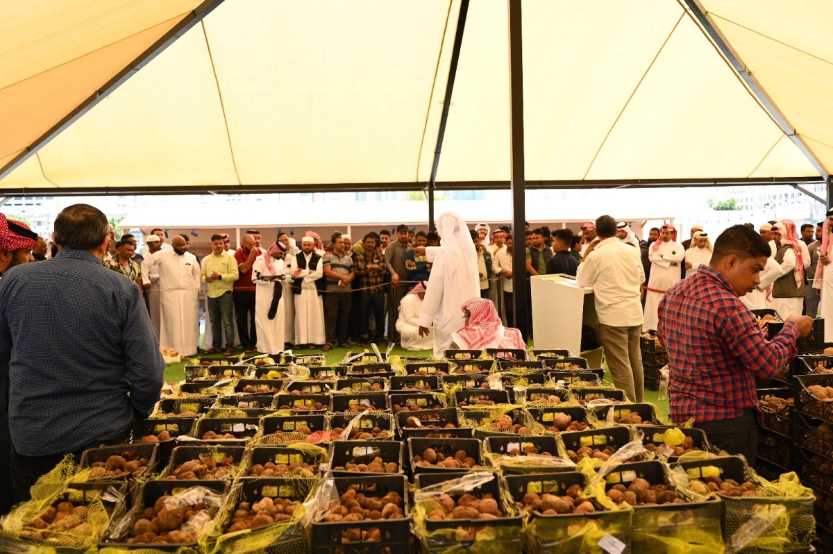 Souq Waqif Truffle Exhibition and Auction 2024 Sees 70 Tonnes of Truffles Sold