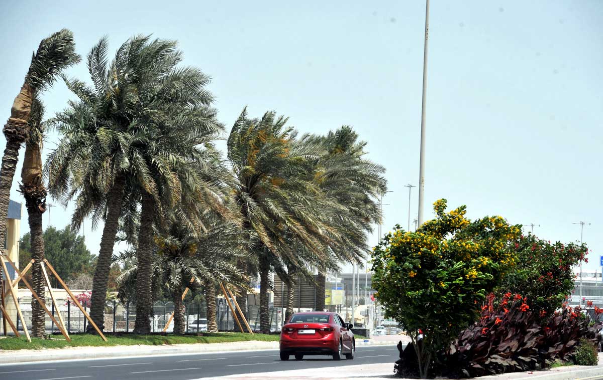 Strong wind from Sunday till weekend: Qatar Meteorology Department