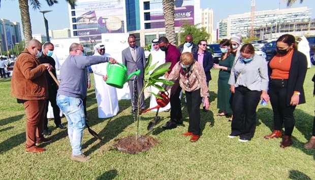 Tree planting marks Qatari-Cuban ties