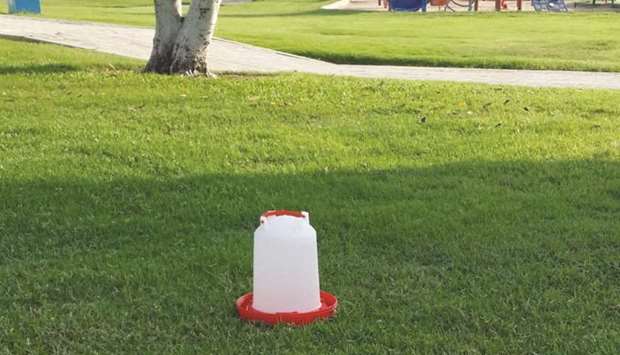 Water pots for birds in Al Shamal parks